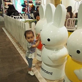 Miffy@U} iRˤoY